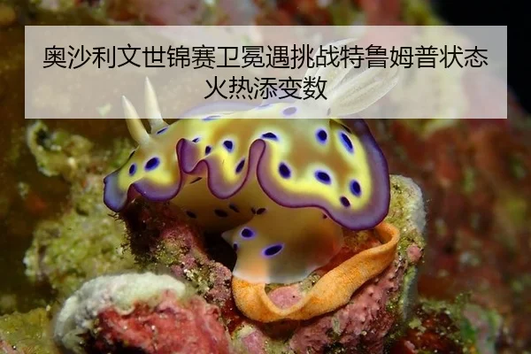 ao-sha-li-wen-shi-jin-sai-wei-mian-yu-tiao-zhan-te-lu-mu-pu-zhuang-tai-huo-re-tian-bian-shu-3-260.jpg